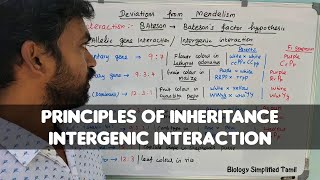 Intergenic interaction  Genetics  Senthilnathan [upl. by Wilkie486]