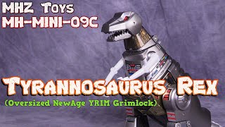 MHZ Toys MHMINI09C Tyrannosaurus Rex METALLIC VERSION  transformers grimlock [upl. by Sabella]