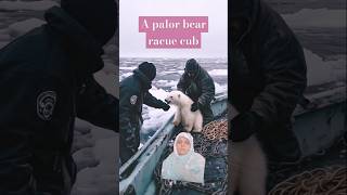 A polar bear cub rascue animals nature  polar bears [upl. by Issej]