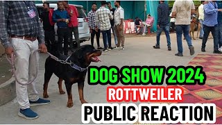 Dog Show 2024  Bilaspur Dog Show 2024  Biggest Dog Show  Public Reaction [upl. by Nolahp]