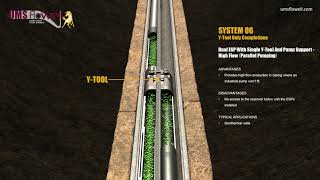 Dual ESP With Single YTool And Pump Support – High Flow Parallel Pumping  System 06 [upl. by Ahpla]