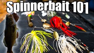 How to Use a Spinnerbait Bass Fishing [upl. by Nylecyoj]