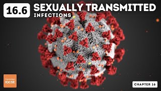 IGCSE Biology  Sexually transmitted infections 166 [upl. by Betthezul]