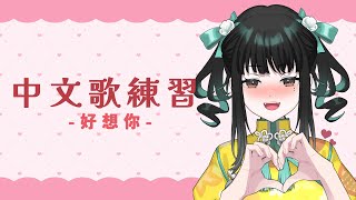 【中文學習】中文歌練習 好想你【零兒】 [upl. by Violetta]