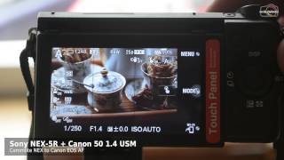 Commlite NEX to Canon EOS AF Test [upl. by Byrne]