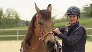 Loesdau Lessons Grundlagen der Reitpferdeausbildung mit Ute Holm Trailer [upl. by Eletnahs]