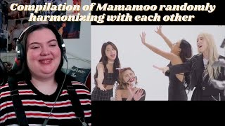 Compilation of Mamamoo randomly harmonizing with each other REACTION [upl. by Affay]