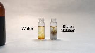 Iodine Test for Starch Technical Guide [upl. by Aeila]