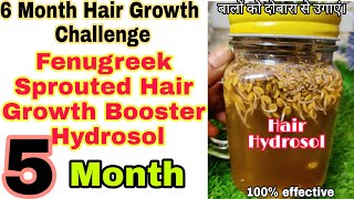 My Magical Sprouted Fenugreek Hair Hydrosol 5 MONTH 6 Month Hair Growth Challenge Longer Thicker [upl. by Nilre]