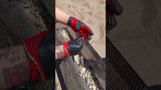 You Wont Believe  Beach Cleanup Money [upl. by Notlrahc]