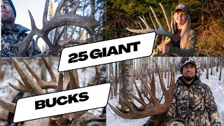 25 Whitetail Kill Shots in 30 Minutes  CANADIAN BUSH BUCKS ULTIMATE DEER HUNTING COMPILATION [upl. by Essie]