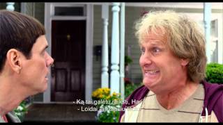 BUKAS IR BUKESNIS 2  Dumb and Dumber To  Trailer lietuviški subtitrai [upl. by Gotcher]