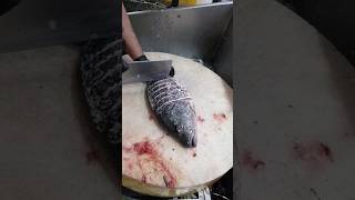 Black Snapper Fish Cutting Skillsshorts [upl. by Hanforrd]