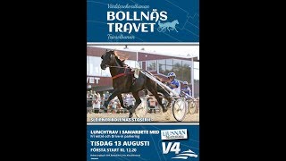 Bollnästravet 190813 Kval Premie [upl. by Nathanial]