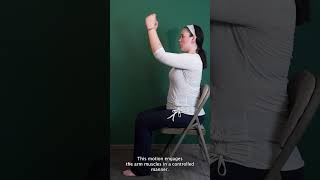 Seated Elbow Bends  Chair Yoga For Seniors and Beginners [upl. by Morez]