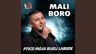 Ptico moja bijeli labude Live [upl. by Notgnilliw]