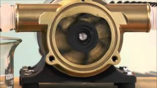 How a Jabsco Flexible Impeller Pump Works [upl. by Avrom]