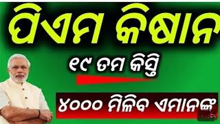 pm Kisan 19 installment in 4000 pement peasse in odisha governmentpm Kisan 19 installment odisha [upl. by Evelinn]