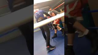 Boxing Sparring GONE WRONG😳 shortvideo shorts [upl. by Anowahs]