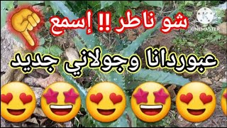 عبوردانا وجولاني جديد 😍 دبكة الأجيال [upl. by Llebasi]