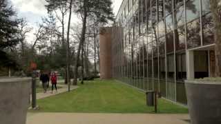 INSEAD MBA Career Development [upl. by Morissa]