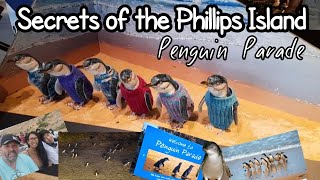 Phillip Island Penguin Parade the secrets revealed [upl. by Kitti350]