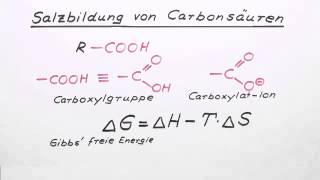 Salzbildung bei Carbonsäuren  Chemie  Organische Chemie [upl. by Langham]