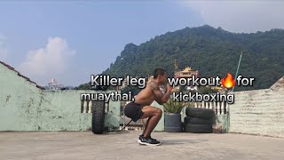 Leg Conditioning for Muay Thai What You NEED to Know [upl. by Ardnuasal]