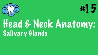 Head amp Neck Anatomy  Salivary Glands  INBDE [upl. by Hannon824]