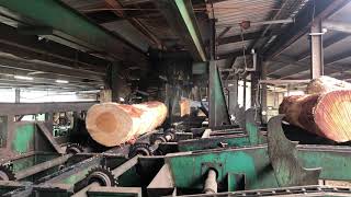 AE Gibson amp Sons Twin Saw Log Edger Sawmilling Equipment amp Machinery [upl. by Krishnah]