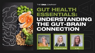 Gut Health Essentials Understanding the GutBrain Connection [upl. by Robin672]