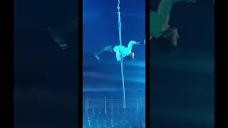 The Ice Kingdom Cirque Aerial Pole Act figureskating aerialist circuslove aerialart [upl. by Nims764]