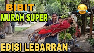 BIBIT MURAH SUPER EDISI LEBARAN 🤣 [upl. by Ainedrag954]