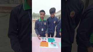 Electrolytic Cell Class 12  Science project [upl. by Sible]