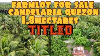 farmlot for salecandelaria Quezontitled18has [upl. by Hubey]