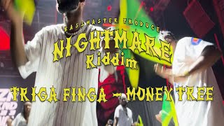 TRIGA FINGAMONEY TREE NIGHTMARE RIDDIM [upl. by Nosneh]