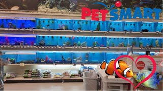 Buying amp Returning Fish At PetSmart  The PetSmart Experience 🐠🐡 [upl. by Yemorej]