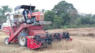 SWARAJ harvester  Paddy harvester  Swaraj tractor ♥️♥️♥️ Swaraj tractor [upl. by Marlin]