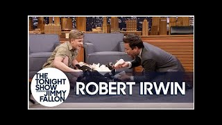 Robert Irwin and Jimmy Feed Baby Pygmy Goats [upl. by Ahsiuq]