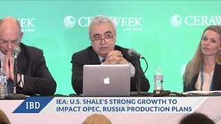 US Shale Oil Production Growth To Hit OPEC Russia Plans IEA [upl. by Xerxes]