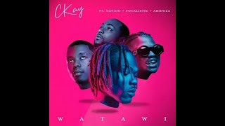 CKay ft Davido Focalistic amp Abidoza – Watawi Official Lyric Video [upl. by Kavanaugh696]