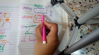 BACTERIAL CONJUNCTIVITIS part 1 MUCOPURULENT CONJUNCTIVITIS in easiest way [upl. by Osi]