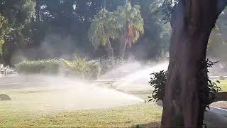 Wenn der Garten mit Wasser bewässert wird genießen Sie eine atemberaubende Aussicht [upl. by Hodges]