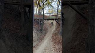 VITO stepup bike mtb fyp mtblife biker bikelover bikelife 7yearsold yt ok huge bikepark [upl. by Theda]