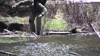 Episode 2 Rio Grande Cutthroat Trout in Northern New Mexico [upl. by Lagas]