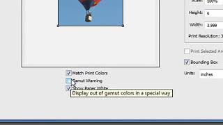 Canon  PC  CS3 CS4  How to use printer color ICC profile with Photoshop and Canon printers [upl. by Demona]