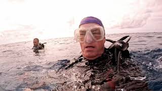 Bob Willis Diving in Bayahíbe Dominican Republic [upl. by Singer]