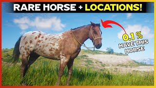 Get RARE Leopard Appaloosa With Location  RDR2 [upl. by Samaria]