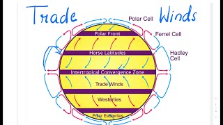 What are trade winds [upl. by Tioneb]