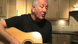 Fields of Athenry  Paddy Reilly  The Dubliners  acoustic cover [upl. by Naic]